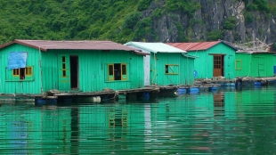 VIETNAM: Floating Fishing Village in Halong Bay. The water is almost the same colour as the houses.
