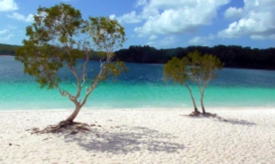 AUSTRALIA: Lake Mackenzie on Fraser Island. You can clean your teeth with sand from this freshwater lake, it's so darn fine.