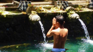 BALI: The Holy Spring - sacred water to purify the soul and mind at the Tampak Siring Temple, Ubud.