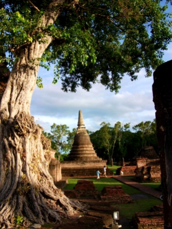THAILAND: Pagoda in Sukhothai Historical Park. That tree looks pretty old.